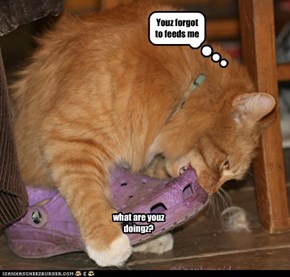 Youz forgot to feeds me