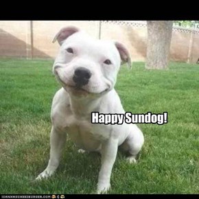 Everybody Smile it's Sundog!