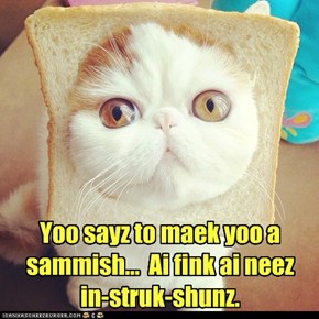 Yoo sayz to maek yoo a sammish...  Ai fink ai neez  in-struk-shunz.