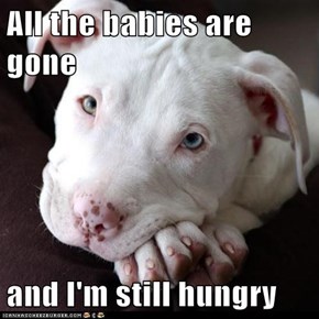 All the babies are gone  and I'm still hungry