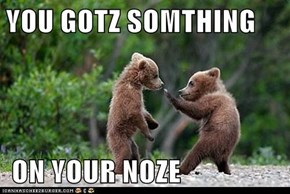 YOU GOTZ SOMTHING    ON YOUR NOZE