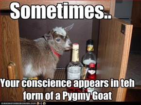 Animal Capshunz: What Would Pygmy Goat Do?