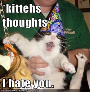 *kittehs thoughts*  I hate you.