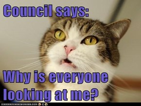 Council says:   Why is everyone looking at me?
