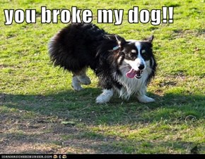 you broke my dog!!