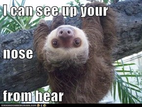I can see up your  nose from hear
