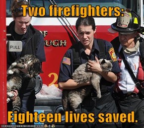 LOLcats: Every Kitteh Deserves a Hero or Two