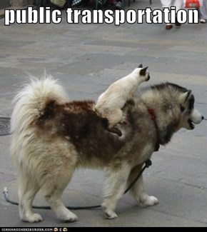 public transportation