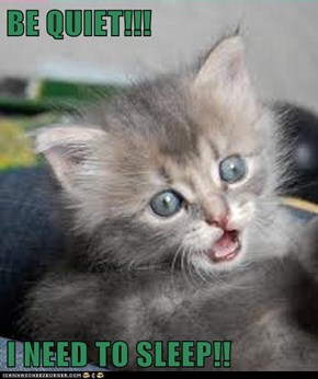 BE QUIET!!!  I NEED TO SLEEP!!