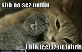 shh no sez nuffin  i kin feel iz ur fabrit