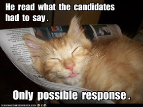 Lolcats: Politicz R Boring!
