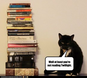 Lolcats: That's a lot of books!
