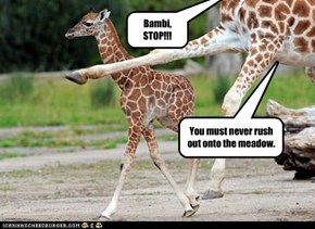Bambi - Giraffe Version