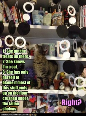 Cat Logic
