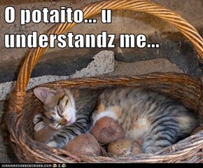 O potaito... u understandz me...
