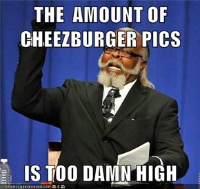 THE  AMOUNT OF CHEEZBURGER PICS   IS TOO DAMN HIGH