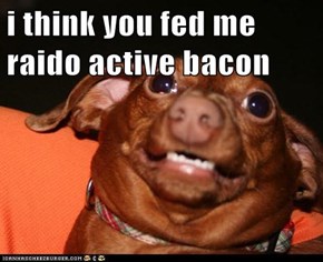 i think you fed me raido active bacon