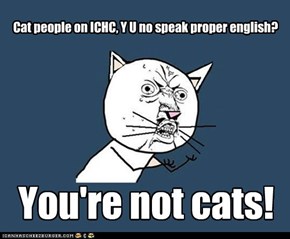 Cat people on ICHC, Y U no speak proper english?