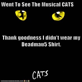 Went To See The Musical CATS Thank goodness I didn't wear my Deadmau5 Shirt.