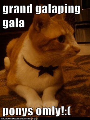 grand galaping gala   ponys omly!:(
