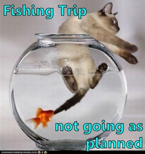 Fishing Trip  not going as planned