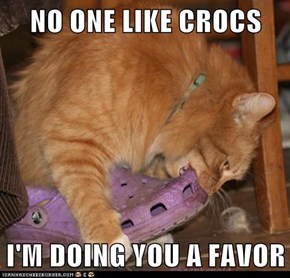 Lolcats: I'M DOING YOU A FAVOR