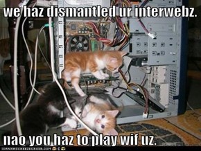 Lolcats: we haz dismantled ur interwebz.