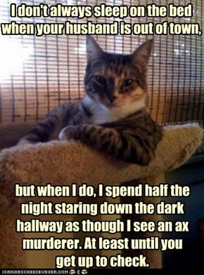 The Most Interesting Cat in the World: Oops, False Alarm