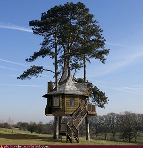 That´s A Tree House