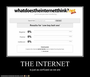 THE INTERNET