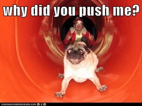 why did you push me?