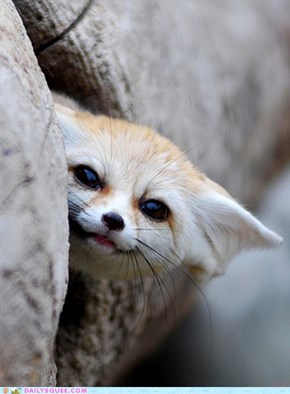 Squee Spree: Come 'n Get Me!
