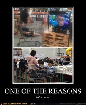 ONE OF THE REASONS