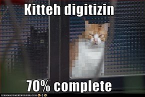 Classic LOLcat
