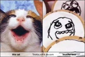 this cat Totally Looks Like beatiful face