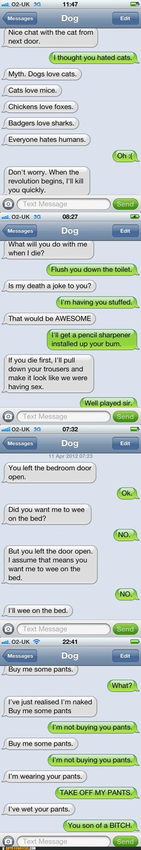 Autocowrecks: If Dogs Could Text, Part II