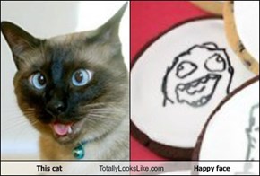 This cat Totally Looks Like Happy face