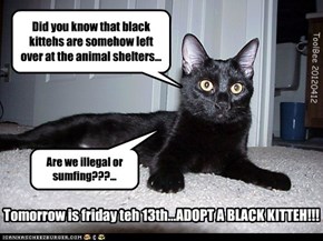 Tomorrow is friday teh 13th...ADOPT A BLACK KITTEH!!!