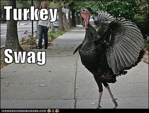 Turkey  Swag