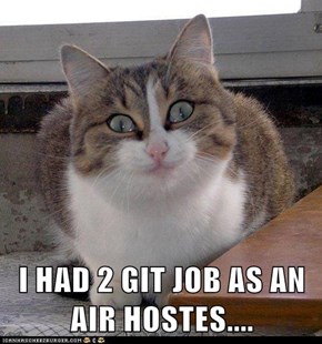 I HAD 2 GIT JOB AS AN AIR HOSTES....