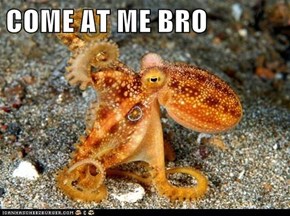 COME AT ME BRO