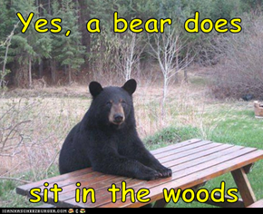 Yes, a bear does    sit in the woods