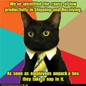 Business Cat: They Deserve a Raise