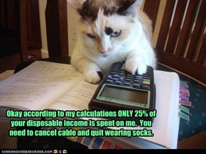 Lolcats: My budget needs an increase NOW.