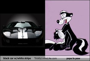 black car w/white stripe Totally Looks Like pepe le pew