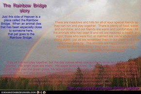 The Rainbow Bridge, author unknown, from www.actioncat.com