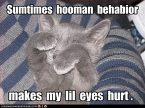 Sumtimes  hooman  behabior