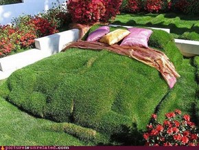 Garden Bed