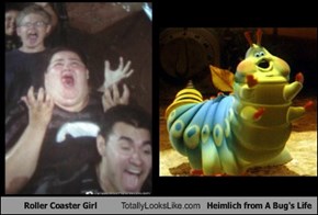 Roller Coaster Girl Totally Looks Like Heimlich from A Bug's Life