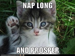 NAP LONG  AND PROSPER